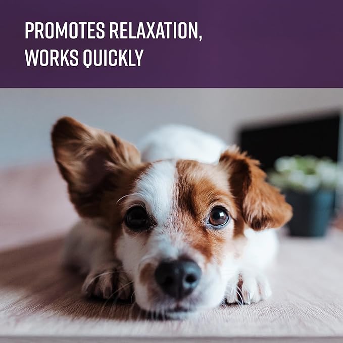Sentry Behavior Portable Calming Diffuser Refill for Dogs, Reduces Response to Normal Stress and Bad Behavior with Calming Phereomones, Easy-to-use Portable Design, 60 Day Release