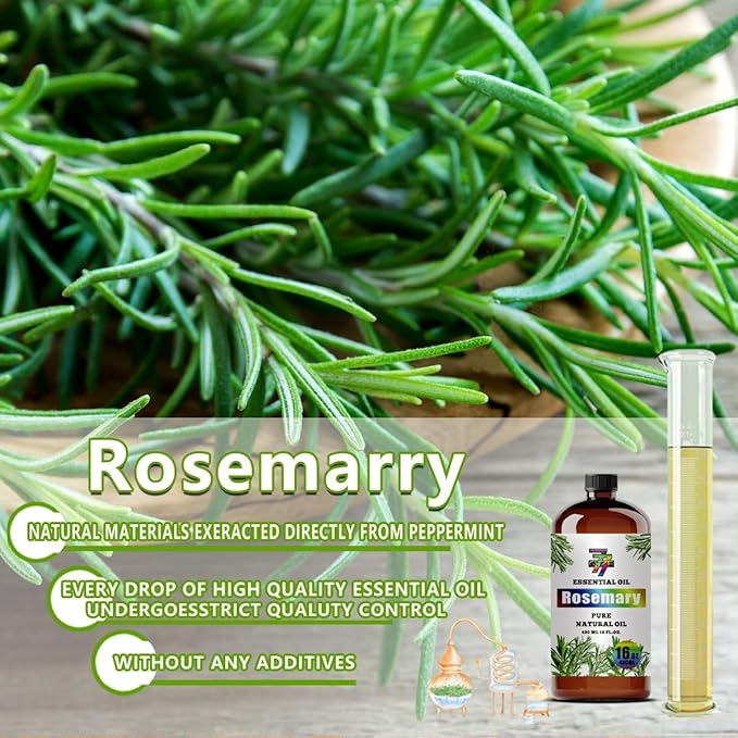 Rosemary Essential Oil - GV77ZF Rosemary Oils for Diffusers, Humidifiers, DIY Candles, Soap, Cleaning, Home, Office, Yoga, Massage, Gifts - 16 fl oz (480 ml)