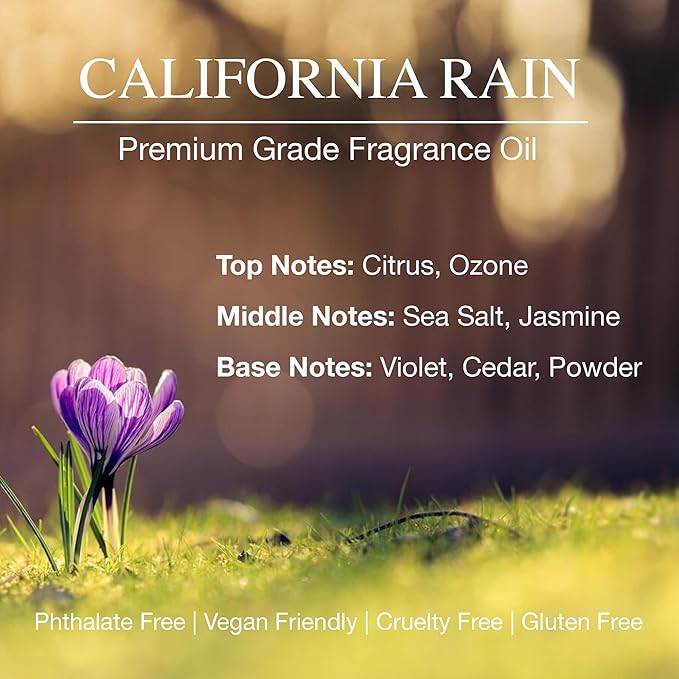 Daniella's Candles California Rain Reed Diffuser Refill Oil, 3.4oz/100ml, Premium Fragrance Oil, Home Fragrance, Long Lasting, Oil for Reed Diffusers