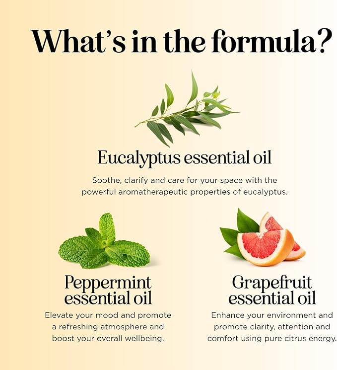 Focus Essential Oil Roll On - Aromatherapy Essential Oil Roller with Invigorating Pure Citrus and Mint Oils - Attention and Focus Essential Oil Blend with Eucalyptus Peppermint & Grapefruit (3 Pack)