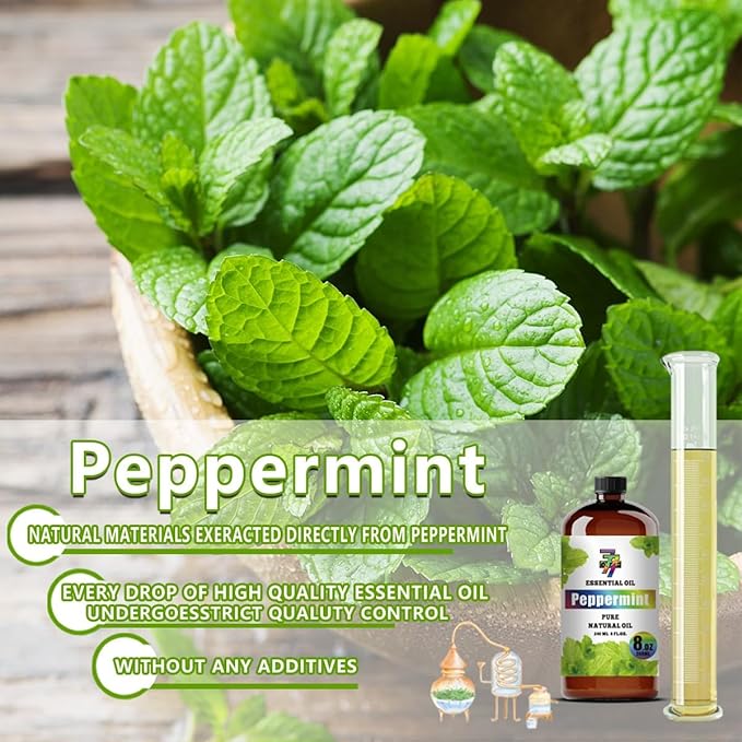 Peppermint Essential Oil - GV77ZF Peppermint Oils for Diffusers, Humidifiers, DIY Candles, Soap, Cleaning, Home, Office, Yoga, Massage, Gifts - 8 fl oz (240 ml)