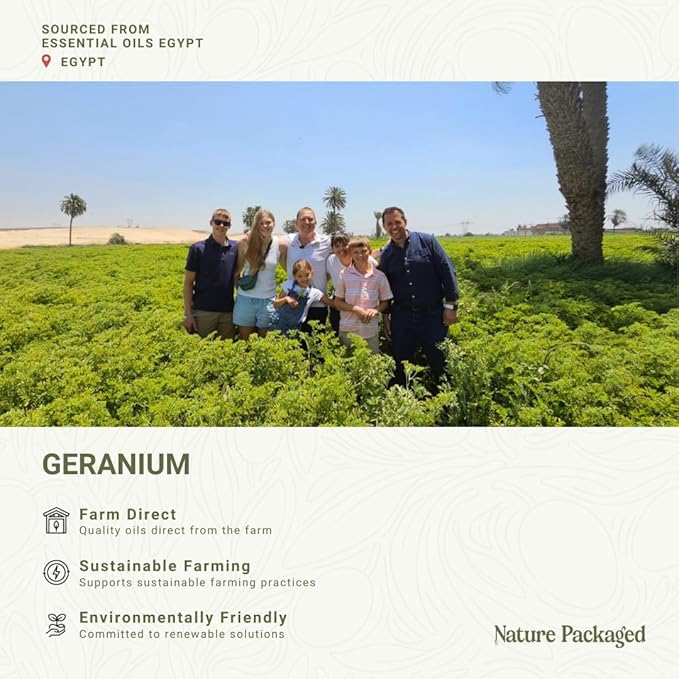 Geranium Essential Oil - Direct from Egypt Nile Delta - Pure Essential Oils for Body, Skincare & Balance - Natural Aceite de Geranio - 100% Pure Therapeutic Grade (15ml)