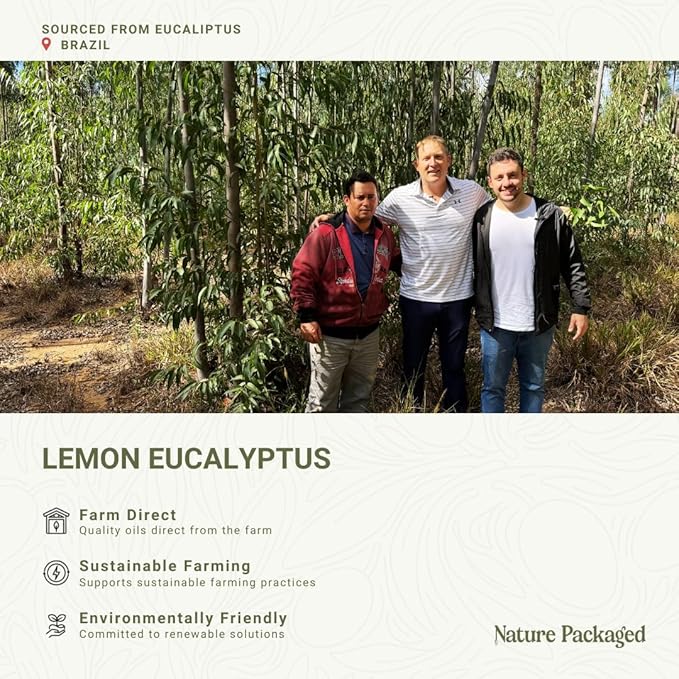 Lemon Eucalyptus Oil by Eucaliptus from Brazil - Pure Lemon Eucalyptus - 100% Pure Steam Distilled Natural Aceite de Eucalipto Limón - Aromatherapy - Premium Therapeutic Grade (2lbs)