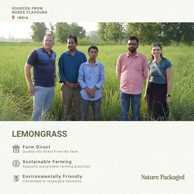 Lemongrass Essential Oil - Natural Aceite de Hierba Limón from Norex Flavours India - Lemongrass Essential Oils for Hair, Aromatherapy and Massage (8oz)