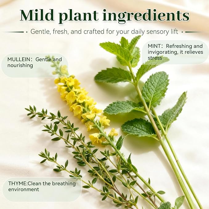 Herbal Diffuser Pen,Lung Cleanse Diffuser with Mullein, Thyme & Mint,Supports a Calm Mood and Relaxed Feelings