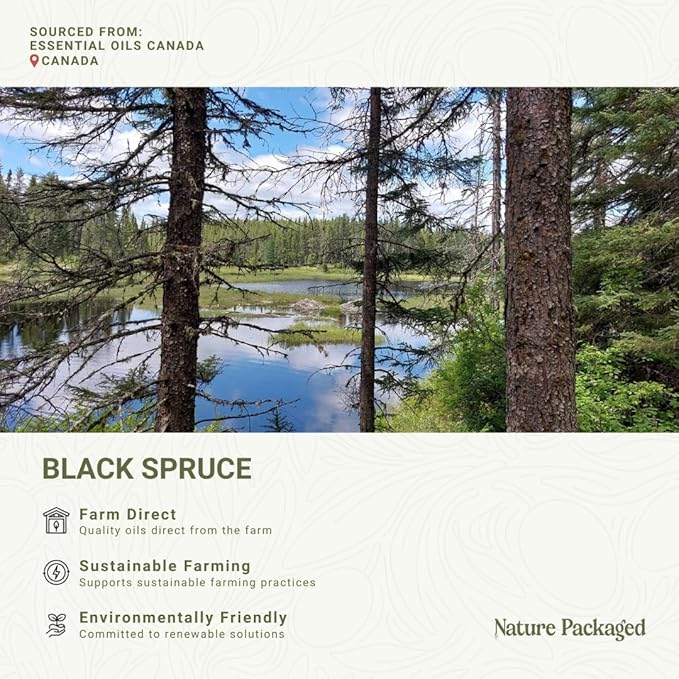 Black Spruce Essential Oil from Canada - Pure Essential Oils for Diffuser, Humidifier, or Aromatherapy- Fresh & Forest-Like | Pure Therapeutic Grade (5ml)
