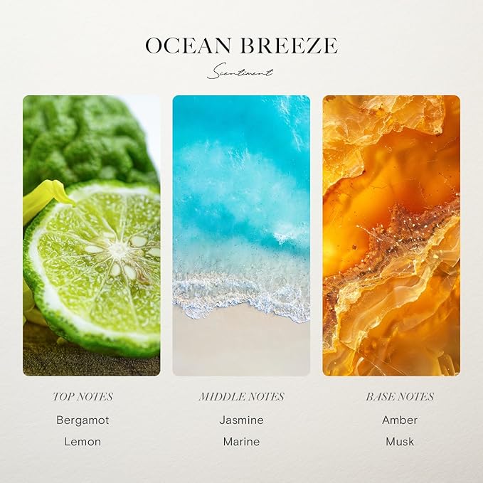 Scentiment Ocean Breeze Diffuser Oil – Bergamot, Lemon, Jasmine with Marine & Amber Scent for Diffusers, Fragrance Oil – 4.06 fl oz (120 mL)