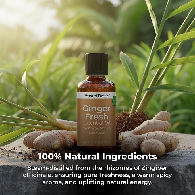 Viva Doria Ginger Essential Oil, 100% Pure Natural, Fresh Ginger Essential Oil, Undiluted, for Aromatherapy | Food Grade, 30 mL (1 Fluid Ounce)