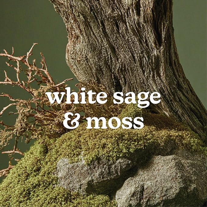 Homedics SereneScent White Sage & Moss Fragrance Oil 15ml | Herbal Woody Blend with Bergamot, Sea Salt & Lavender | USDA Biobased Essential Oil Diffuser Scent | Waterless Cold Air