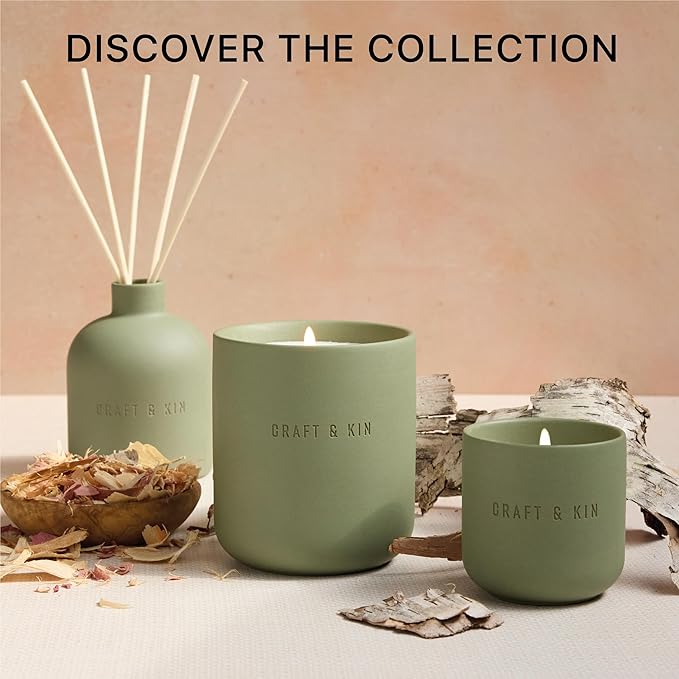 Craft & Kin Reed Diffuser for Home & Bathroom – White Birch & Cedar Holiday Reed Diffuser Set with Fragrance Sticks, Long-Lasting Alcohol-Free Winter Scent, Earthenware Collection, 6.7oz