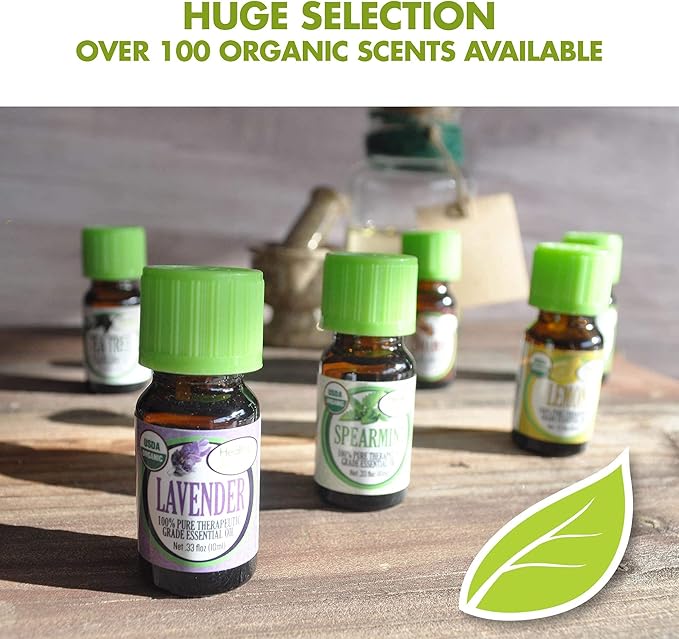 Healing Solutions Ginger Essential Oil 10ml (0.33 oz) – Organic, Pure Undiluted, Therapeutic Grade for Hair, Diffuser, Skin & Aromatherapy