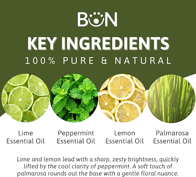 Best of Nature Essential Oil Blend – 100% Pure for Diffuser, Aromatherapy & Relaxation (Invigorating)