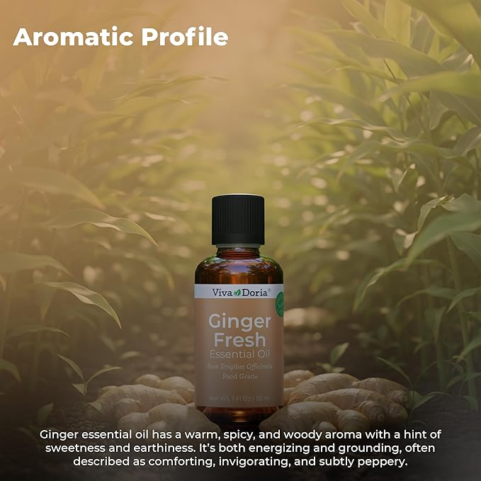 Viva Doria Ginger Essential Oil, 100% Pure Natural, Fresh Ginger Essential Oil, Undiluted, for Aromatherapy | Food Grade, 30 mL (1 Fluid Ounce)