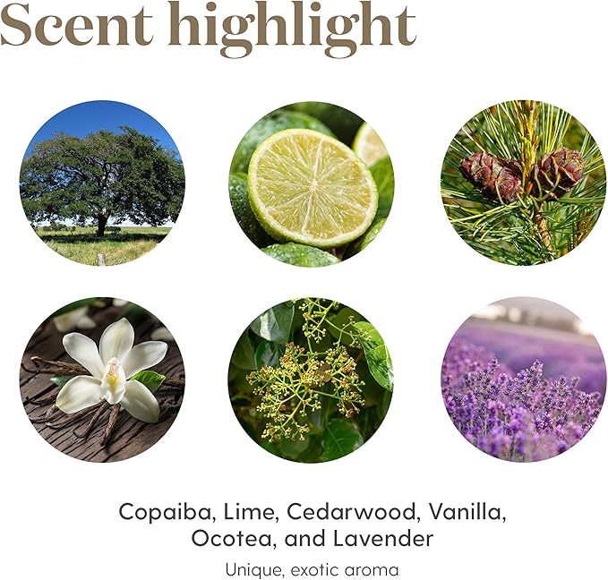 Young Living Stress Away Essential Oil Blend 5ml – Aromatic Oil with Lavender & Cedarwood | Aromatherapy for Relaxation, Diffusers & Home Wellness