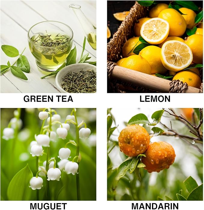 Tea Garden Bliss Scent Reed Diffuser Refill - 5.07oz/150ml Premium Home Fragrance Oil with Black Reeds, Long Lasting Fresh Aroma, Alcohol-Free Fragrance Oil for Home & Spa