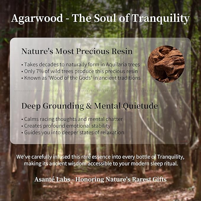 Tranquility Sleep Essential Oil Blend – Agarwood, Lavender & Ylang Ylang for Bedtime Relaxation, Calming & Deep Sleep – 5ml Natural Skin-Safe Aromatherapy by Asanté Labs (0.17 Fl Oz (Pack of 1))