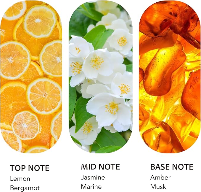 Luxury Hotel Scent Ritz Carlton Diffuser Oil 200ml/6.76Fl Oz Long-Lasting Essential Oil Refill for HVAC Systems, Home & Spa Use l Waterless Essential Aromatherapy