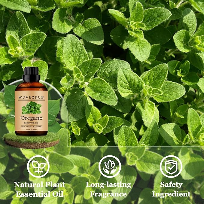 Oregano Essential Oils 60ML, Pure Oregano Essential Oil for Aromatherapy Diffuser - 2 Fl Oz