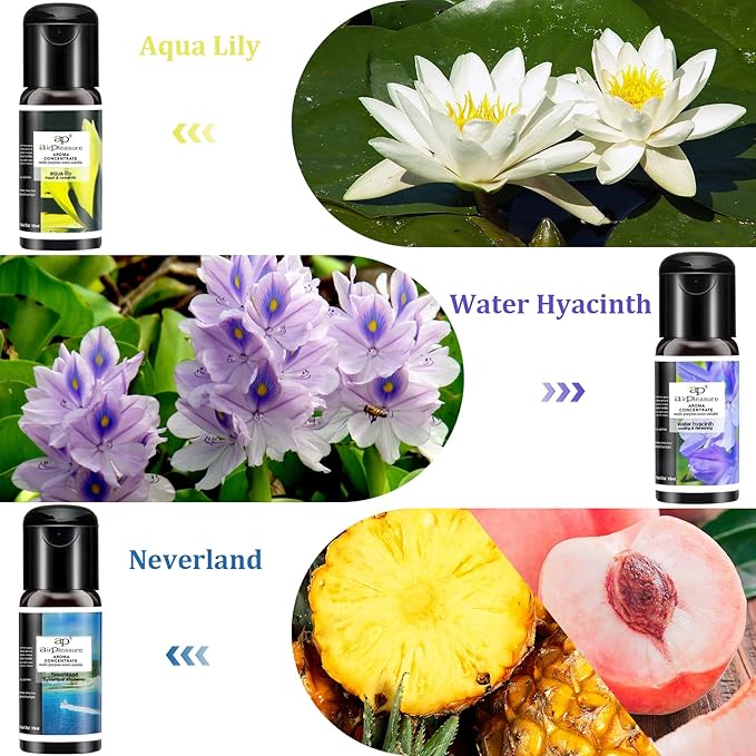 Reborn Essential Oils Set, 6x15ml Fragrance Oils Kit for Diffuser, Humidifier, Aromatherapy, Air Purifier - Aqua Lily, Water Hyacinth, Breathe Easy, Ocean Mist, Neverland, Lavender