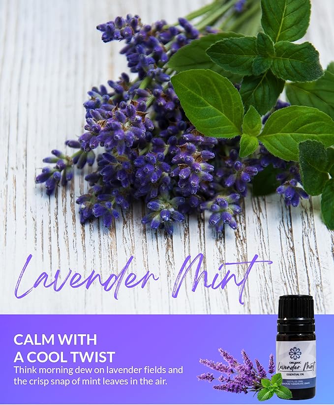 Essence Pearl Travel Case | Lavender Mint Essential Oil | Aromatherapy Nasal Diffuser & Essential Oil Carrying Case | Lavender & Peppermint Oil Blend | Travel-Friendly Kit | White Pod