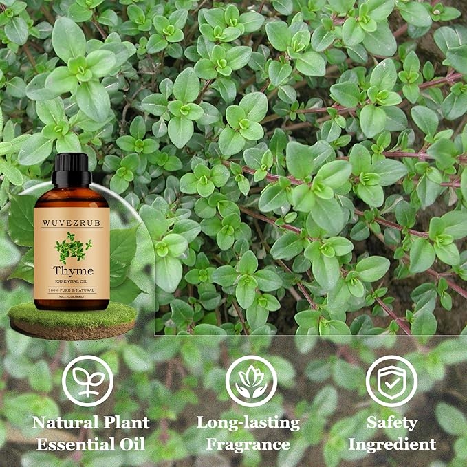 Thyme Essential Oils 60ML, Pure Thyme Essential Oil for Aromatherapy Diffuser - 2 Fl Oz