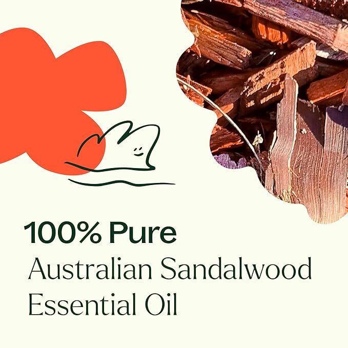 Plant Therapy Australian Sandalwood Essential Oil, 5 mL (1/6 oz), 100% Pure and Undiluted, Great for Essential Oil Diffusers and Skincare DIYs