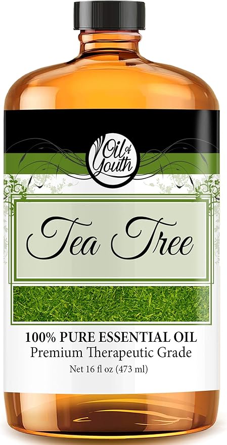Oil of Youth Tea Tree Essential Oil 16oz Bulk – Pure Therapeutic Grade for Aromatherapy, Diffuser, Skin Therapy, and Cleaning