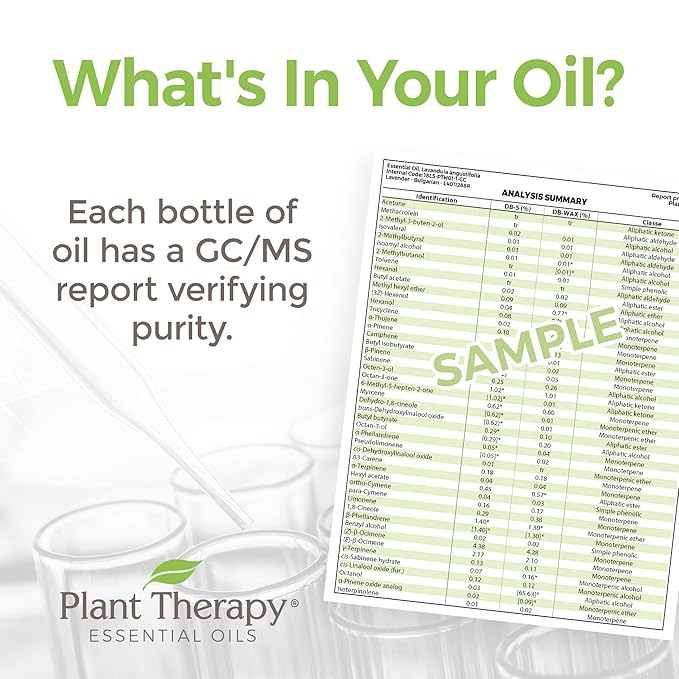 Plant Therapy KidSafe Study Time Essential Oil Blend 10 mL (1/3 oz), 100% Pure, Undiluted, Aromatherapy for Focus, Mind Calming, Concentration Blend for Kids