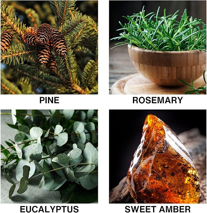 Misty Pines Scent Reed Diffuser Refill, Premium Essential Oils, 150ml/5.07 fl oz, Long-Lasting 8-12 Weeks