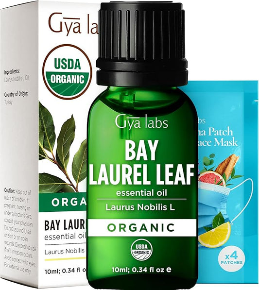 Gya Labs USDA Certified Organic Bay Leaf Essential Oil for Massages, Skin, Hair, Diffuser, Aromatherapy, DIY Candle Making Scents - 0.34 Fl Oz