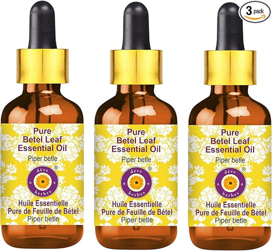 Deve Herbes Pure Betel Leaf Essential Oil (Piper betle) with Glass Dropper Steam Distilled (Pack of Three) 100ml X 3 (10 oz)