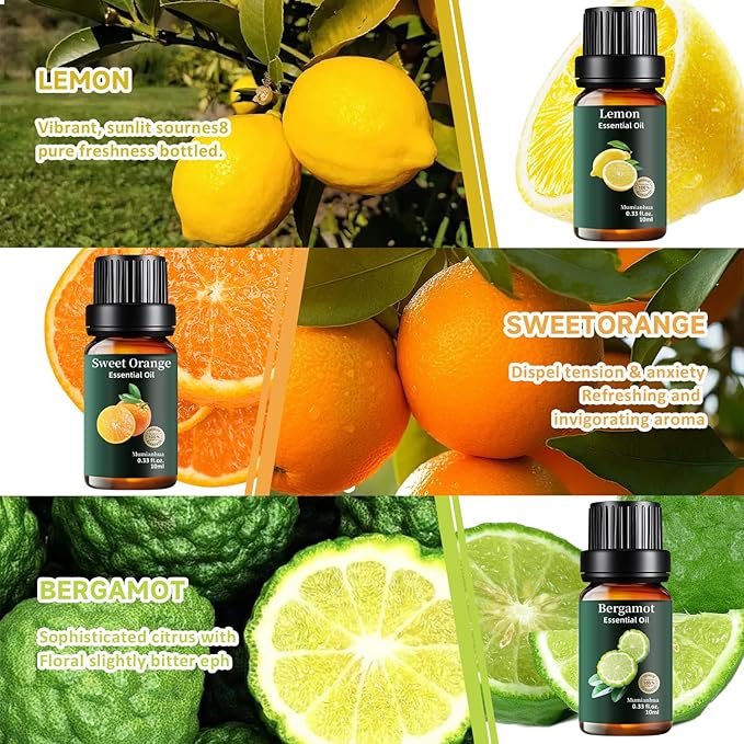 Pure Fruity Essential Oils Set Lemon, Grapefruit, Orange, Bergamot, Pineapple, Coconut, Mango, Pomegranate, Blueberry, Fig, Lychee, Cherry Aromatherapy Oil for Diffuser, Candle & Soap Making 12x10ml