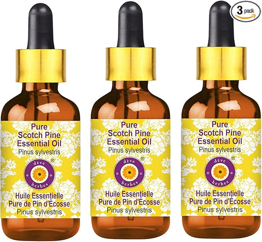 Deve Herbes Pure Scotch Pine Essential Oil (Pinus sylvestris) Steam Distilled with Glass Dropper (Pack of Three) 100ml X 3 (10 oz)