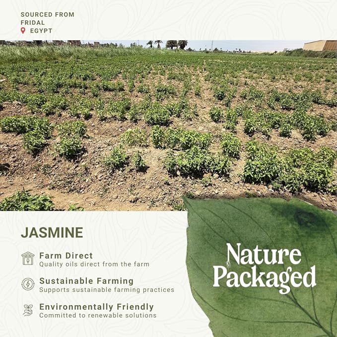 Jasmine Essential Oil - Direct from Fridal Egypt - Steam Distilled - Aceite de Jazmín for Aromatherapy, Massage, Diffuser, DIY Candle and Soap Making - 15ml