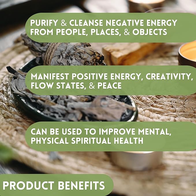 Ancient VEDA Healer's Kit: Complete Sage Smudge Kit Bundle w/Abalone Shell, Palo Santo, Sweetgrass, Turkey Feather & Guidebook – Spiritual and Energy Cleansing, Ritual Supplies, Smudging Essentials