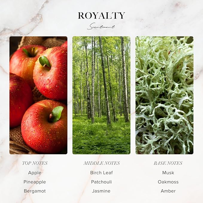 Scentiment Diffuser Oil Sample Set – 3 Pack (Royalty, Brilliance, Santal) | Pineapple, Saffron & Cardamom Blends | Luxury Hotel-Inspired Fragrance Oils for Cold Air Diffusers (3 x 20ml / 0.68 Fl Oz)