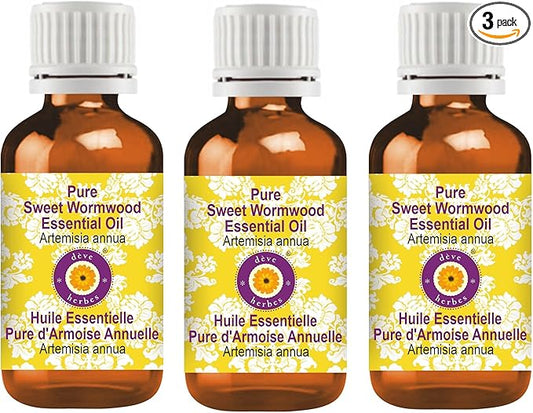 Deve Herbes Pure Sweet Wormwood Essential Oil (Artemisia annua) Steam Distilled (Pack of Three) 100ml X 3 (10 oz)