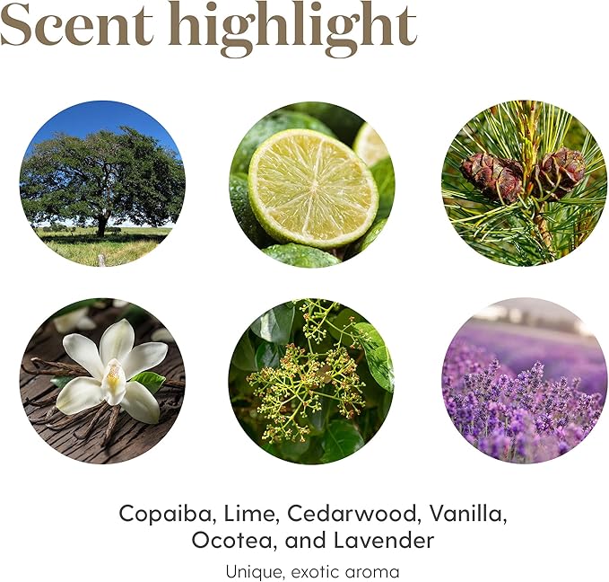 Young Living Stress Away Essential Oil Blend 15ml – Aromatic Oil with Lavender & Cedarwood | Aromatherapy for Relaxation, Diffusers & Home Wellness