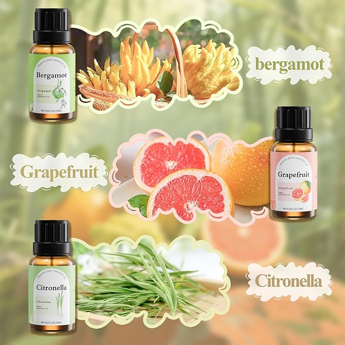 Natural Essential Oil Blend Set - 6x10ml Earthy & Woody Collection - Plant-Based Scented Oils for Diffuser, Home Spa & DIY Crafts - Citronella, Cedarwood, Cinnamon, Bergamot, Grapefruit, Eucalyptus