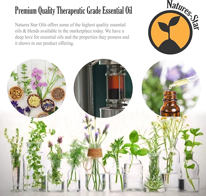 Natures-Star Peppermint Essential Oil 2-Pack (16oz Each, 32oz Total) – Therapeutic Grade – Candle Making – Peppermint Oil Bulk