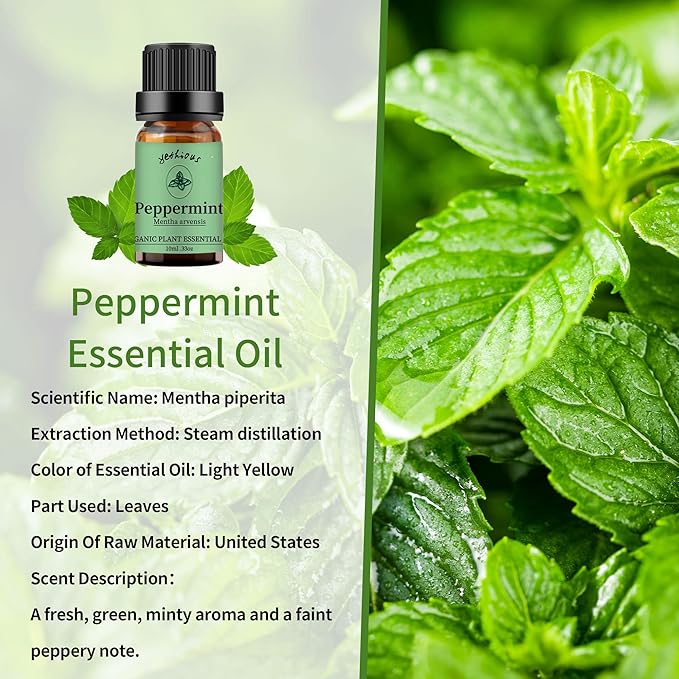 yethious Peppermint Eucalyptus Essential Oil 10ML Natural Peppermint Essential Oil Gift Set for Aromatherapy & Diffuser, Fragrance, Soap Candle Making