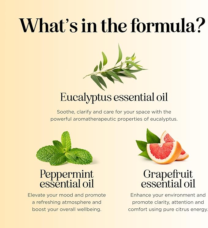 Focus Essential Oil Roll On - Aromatherapy Essential Oil Roller with Invigorating Pure Citrus and Mint Oils - Attention and Focus Essential Oil Blend with Eucalyptus Peppermint & Grapefruit (2 Pack)