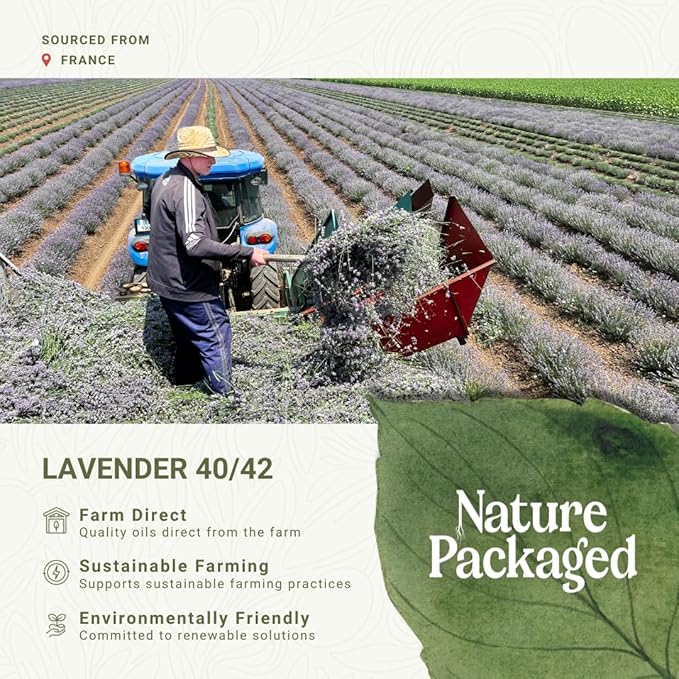 Lavender 40/42 Essential Oil Direct from France - Essential Oil for Candle Making and Soaps - Pure Lavender 40/42 Oil for Aromatherapy, Skincare, Haircare, Perfumes (15 mL)
