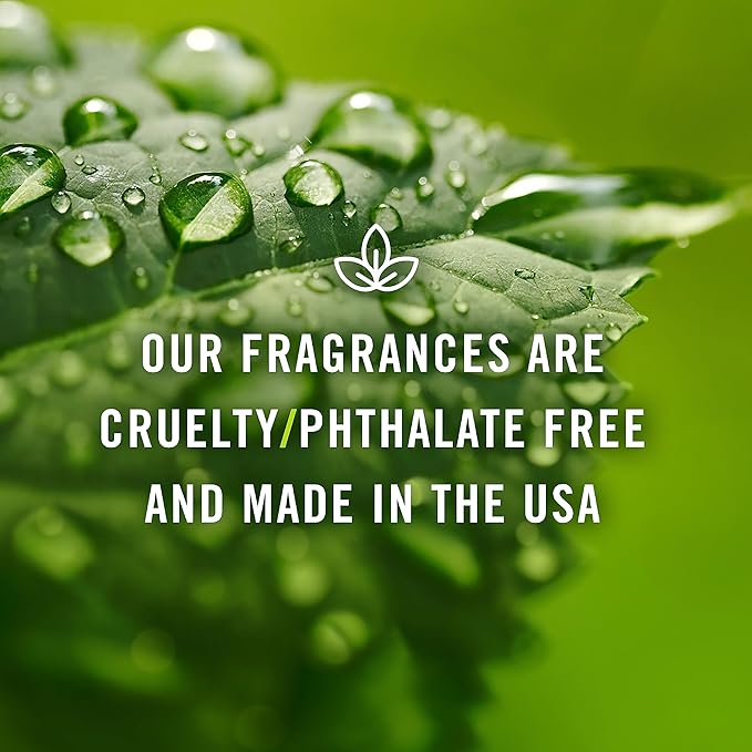P&J Trading Fragrance Oil Floral Set | Violet, Rose, Freesia, Jasmine, Lilac, Gardenia, Lily, Woodbine, Azalea, Ylang Ylang, Sweet Pea, Plumeria, Lavender, Bamboo Candle Scents for Candle Making