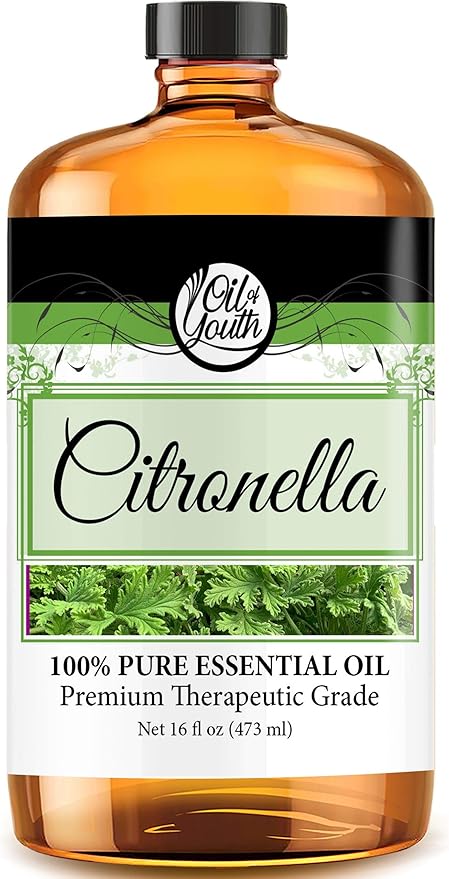 Oil of Youth Citronella Essential Oil (16oz Bulk) - Pure Essential Aromatherapy for Relaxation, Mood, Diffuser, Candles