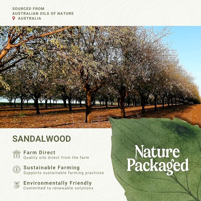 Sandalwood Essential Oil - Direct from Australian Oils of Nature - Steam Distilled - Aceite Esencial de Sándalo for Aromatherapy, Massage, Diffuser, DIY Candle and Soap Making - 8oz
