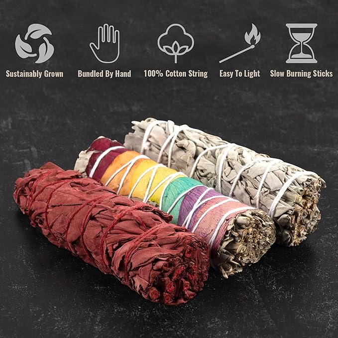 Wish Well Sage Smudge Kit ~ 4" Dragon Blood, Chakra, White Sage Smudge Stick, Palo Santo Sticks, Abalone Shell, Stand, Feather ~ Cleansing House & Meditation ~ Perfect Starter Kit with Instructions