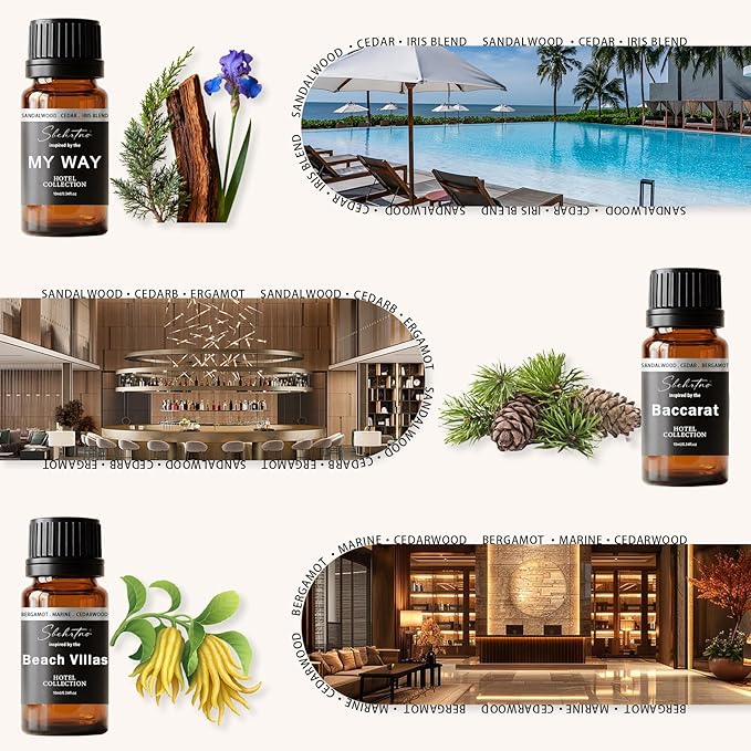 Hotel Diffuser Oil Gift Set – Luxury Hotel Inspired Fragrance Oils for Diffusers, Premium Aromatherapy Home Fragrance, Long Lasting Scent for Bedroom, Spa & Office (Hotel Fragrance Set 10ml*6)