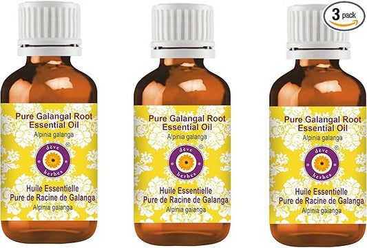 Deve Herbes Pure Galangal Root Essential Oil (Alpinia Galanga) Steam Distilled (Pack of Three) 100ml X 3 (10 oz)