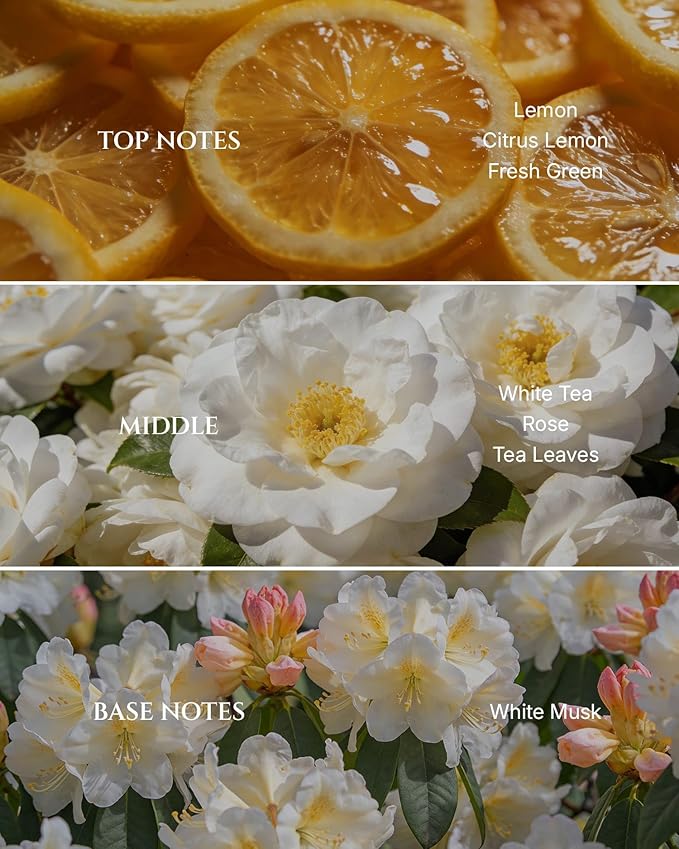 Aromadd Aromadd White Tea Diffuser Oil Inspired by Luxury Hotel Scent, Essential Oils for Waterless Diffuser, White Tea & Bergamot, Long-Lasting & Natural Home Fragrance - 6.76 fl oz (200 mL)